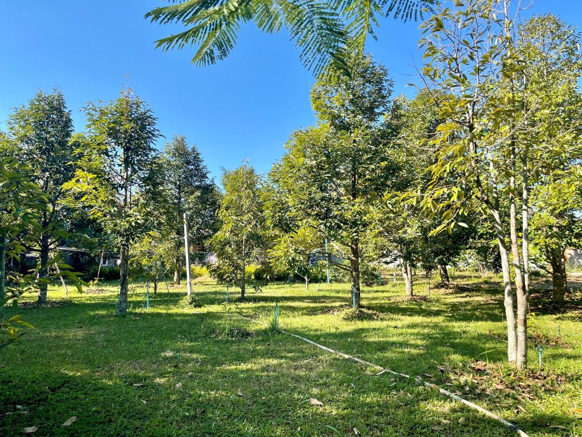 Panpim Resort Noen Hom Exterior foto
